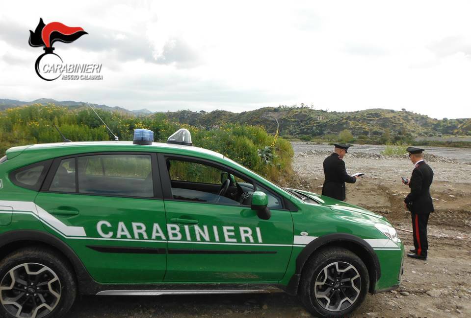 carabinieri-forestali.jpg