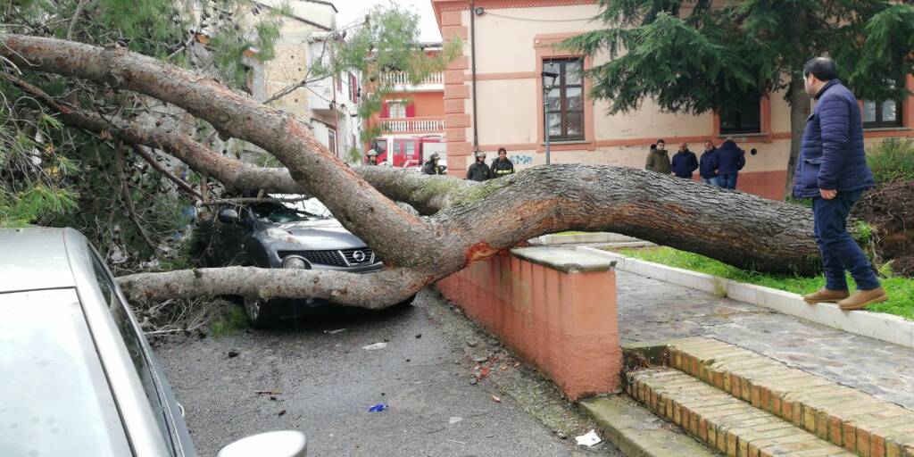 piscopio-crollo-albero.jpg