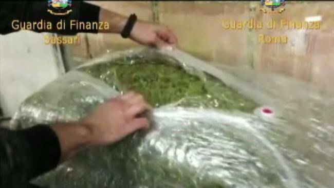 17240_650_320_dy_sequestrati_840_chili_di_marijuana_e_150mila_euro_in_contanti_tra_cagliari_e_roma_-_video.jpg