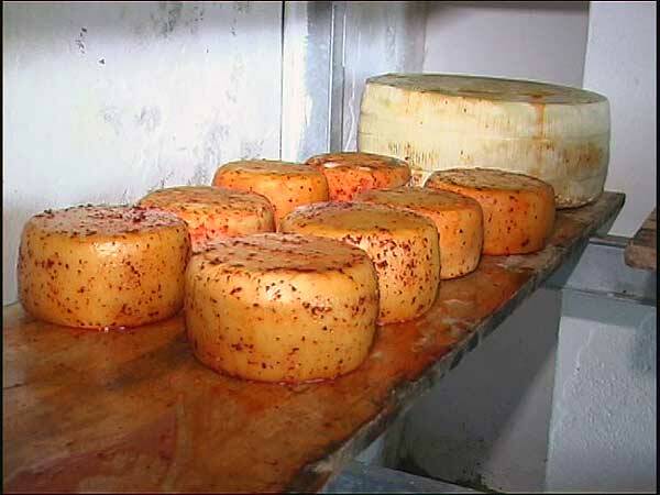 pecorino-monte-poro-3.jpg