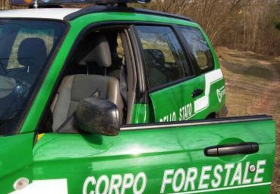 corpo_forestale-576x400.jpg