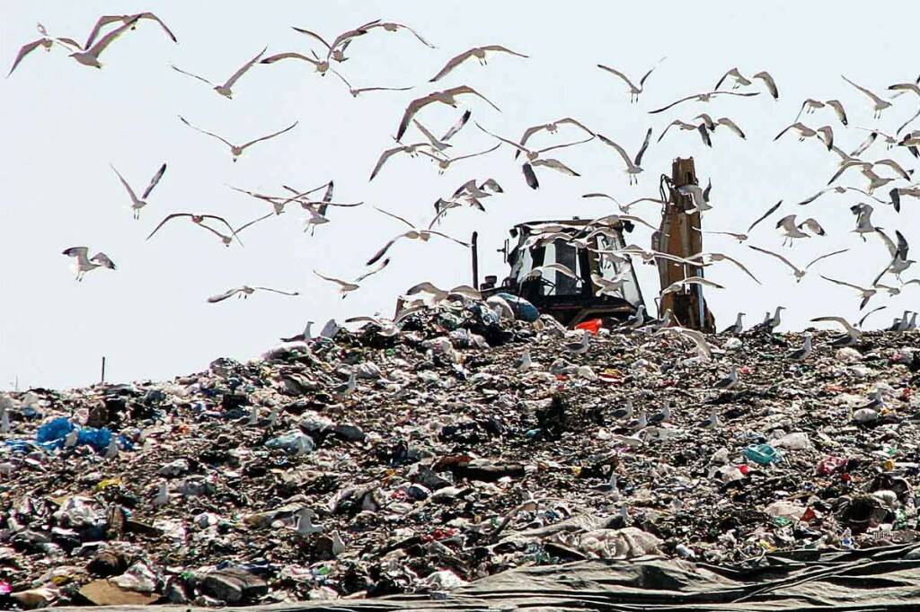 latina-discarica-indeco-presso-borgo-montello.jpg