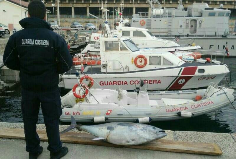 guardiacostiera.jpg