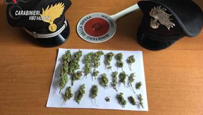 Vibo-carabinieri-marijuana