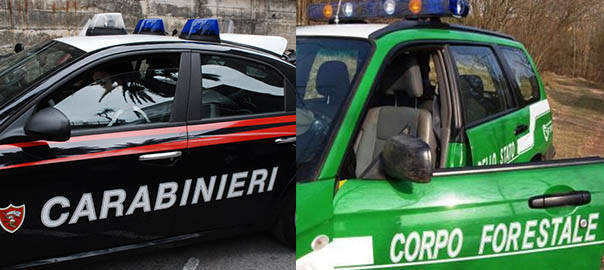 carabinieri-e-corpo-forestale.jpg