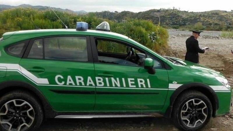 carabinieri-forestali
