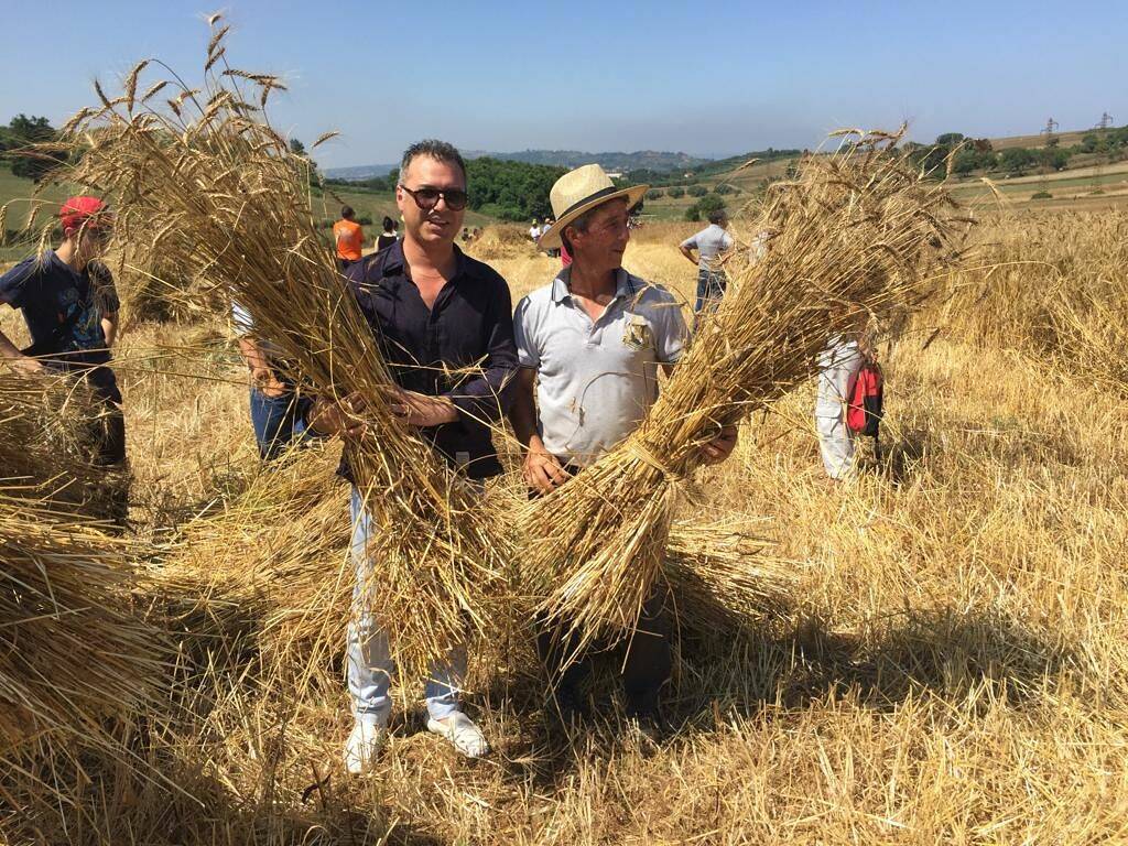 Il-presidente-Solano-nel-corso-della-giornata-delle-mietitura-di-Maierato