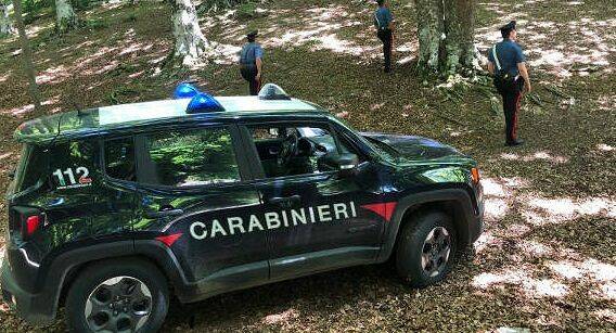 carabinieri-foto-bosco