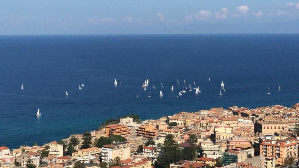 Tropea vela