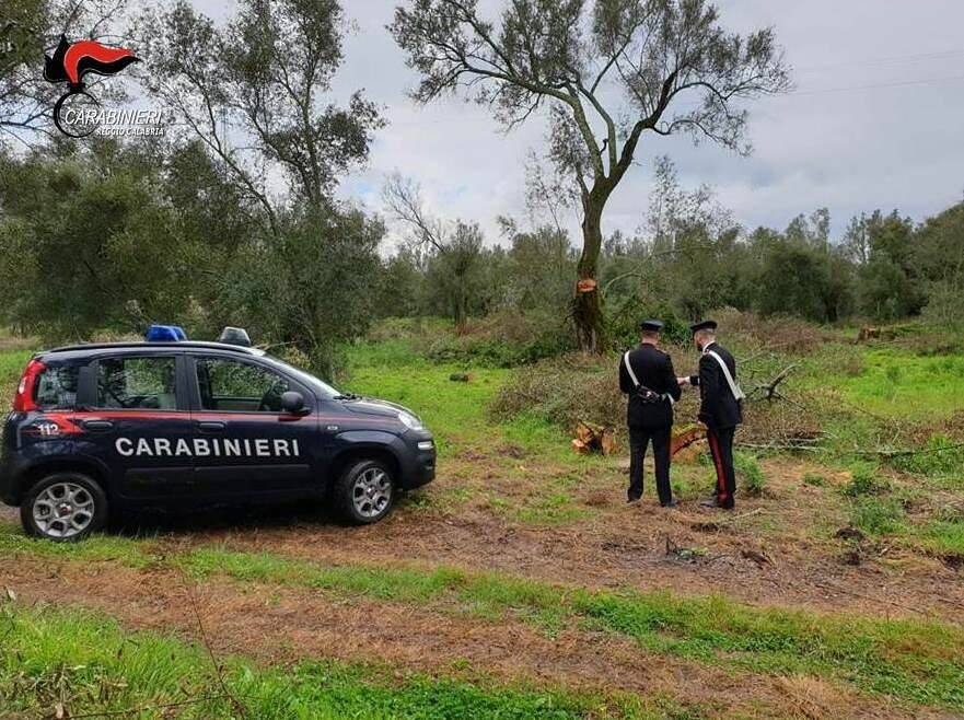 Taurianova carabinieri