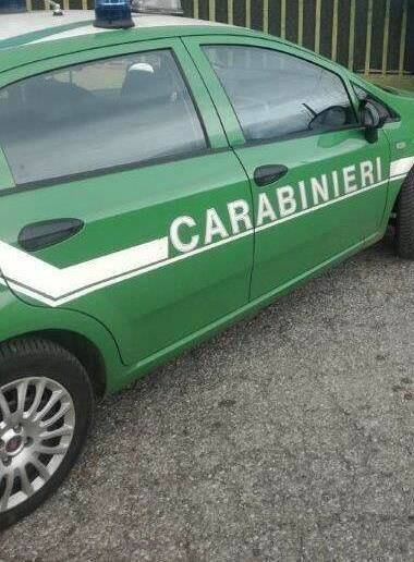 Carabinieri forestali