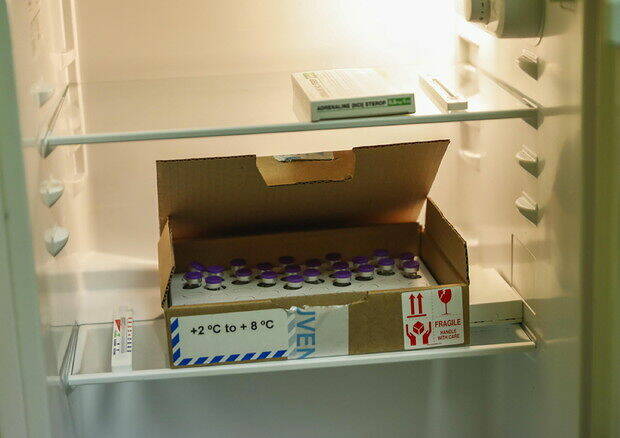 vaccino pfizer frigo