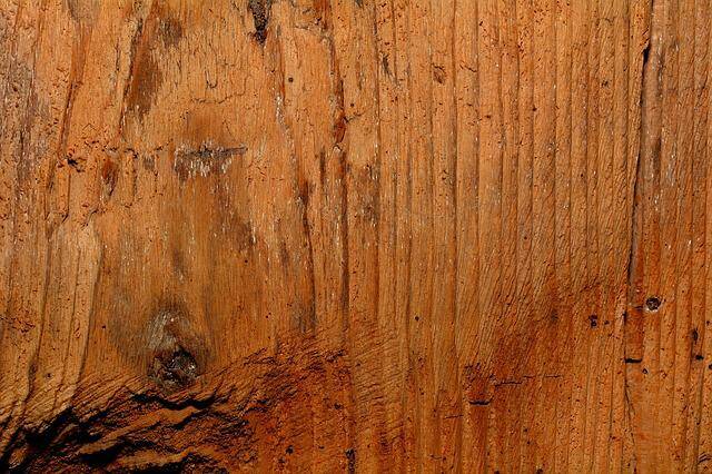 Legno massello, perché sceglierlo per la casa